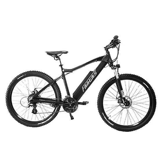 Fantas-Bike City Hunter 002 500W Electric Mountain Bike
