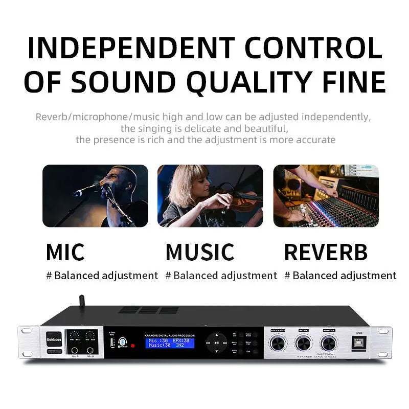 Procesador de audio para karaoke digital DPS-990