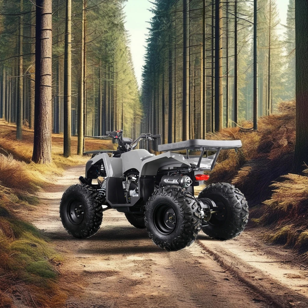 APAQ 200cc Automatic ATV for Adults