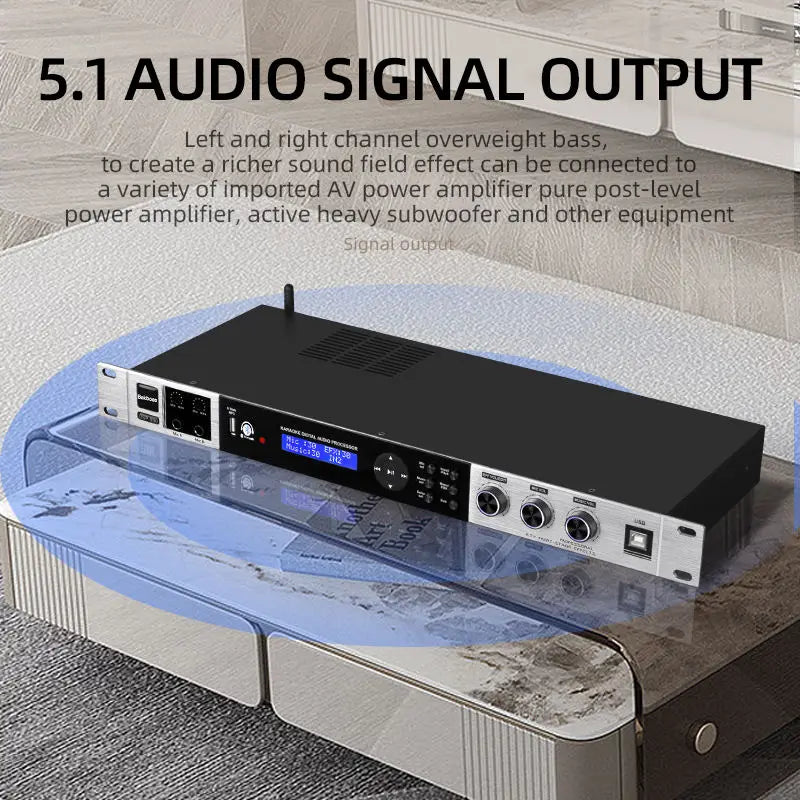 DPS-990 Digital Karaoke Audio Processor