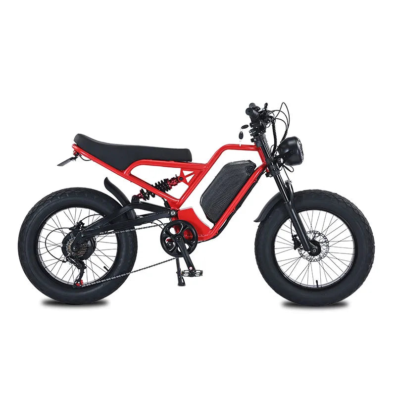 Bicicleta de montaña eléctrica con buje trasero de 7 velocidades – 60 km de autonomía