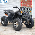 LNA 250cc Adult Quad Bike