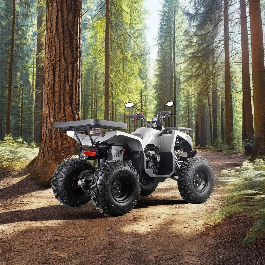 APAQ 200cc Automatic ATV for Adults