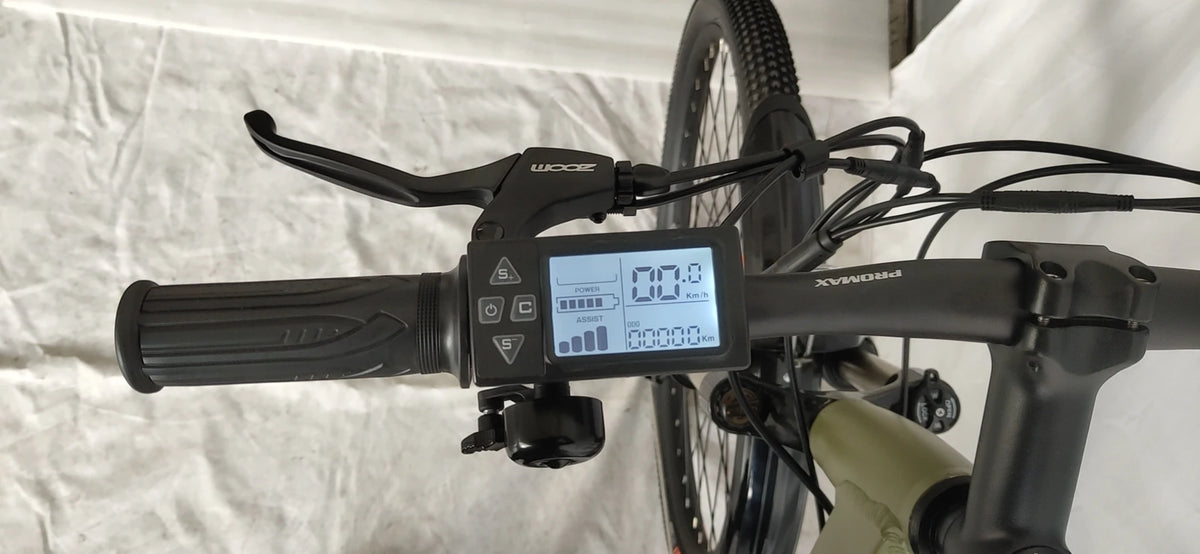 Fantas-Bike City Hunter 002 500W Electric Mountain Bike