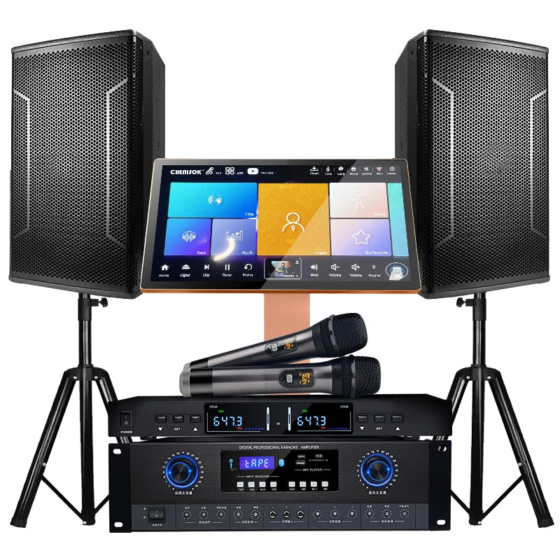Máquina de karaoke de sistema dual Max: 2 micrófonos inalámbricos, 2 TB