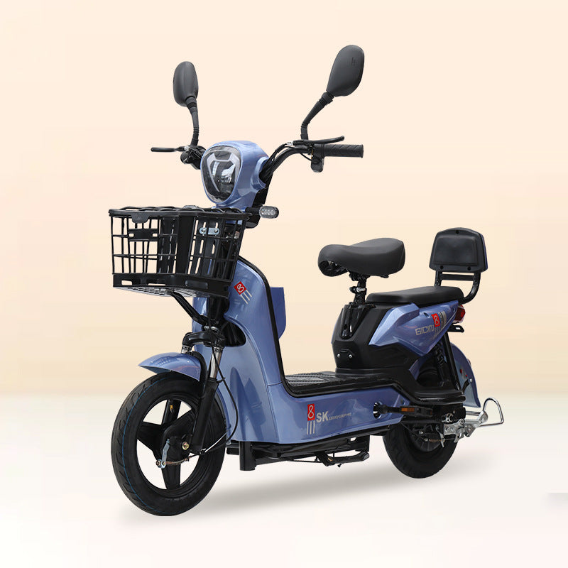 2026 New National Standard Electric Bicycle, Cross-border Foreign Trade Spot Hot-Selling Two-Seater Electric Bicycle, Source Manufacturer