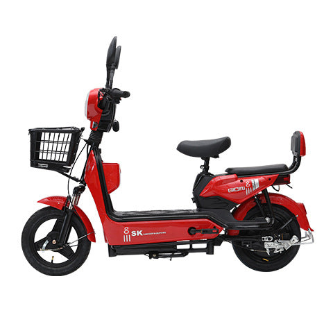 2026 New National Standard Electric Bicycle, Cross-border Foreign Trade Spot Hot-Selling Two-Seater Electric Bicycle, Source Manufacturer