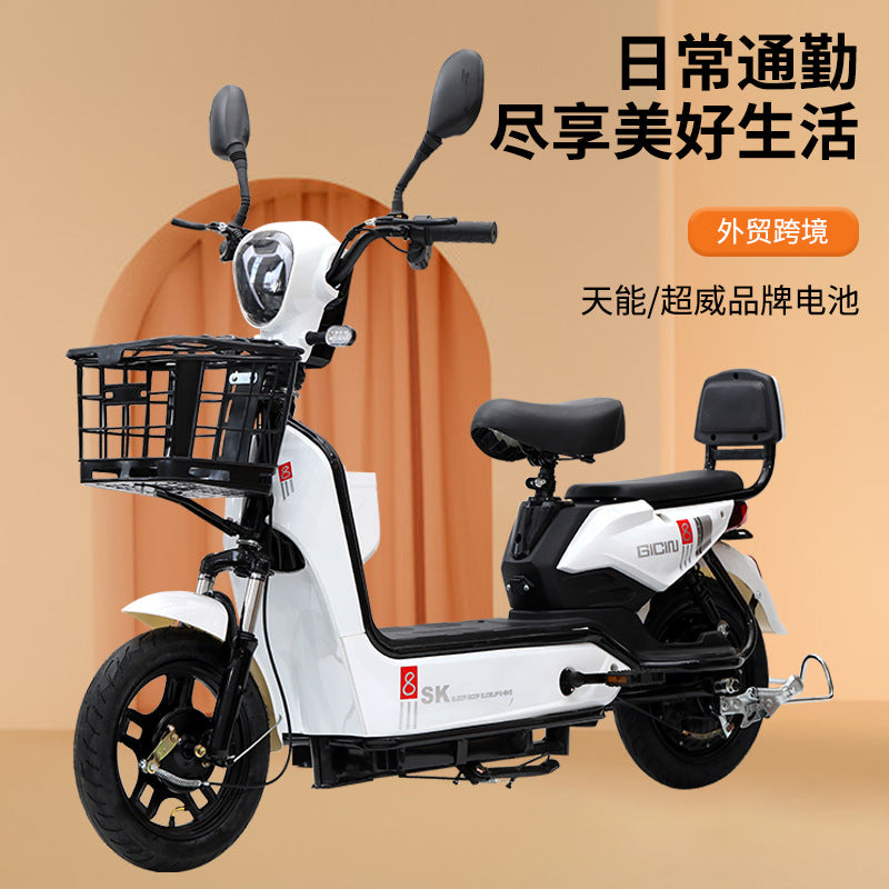 2026 New National Standard Electric Bicycle, Cross-border Foreign Trade Spot Hot-Selling Two-Seater Electric Bicycle, Source Manufacturer