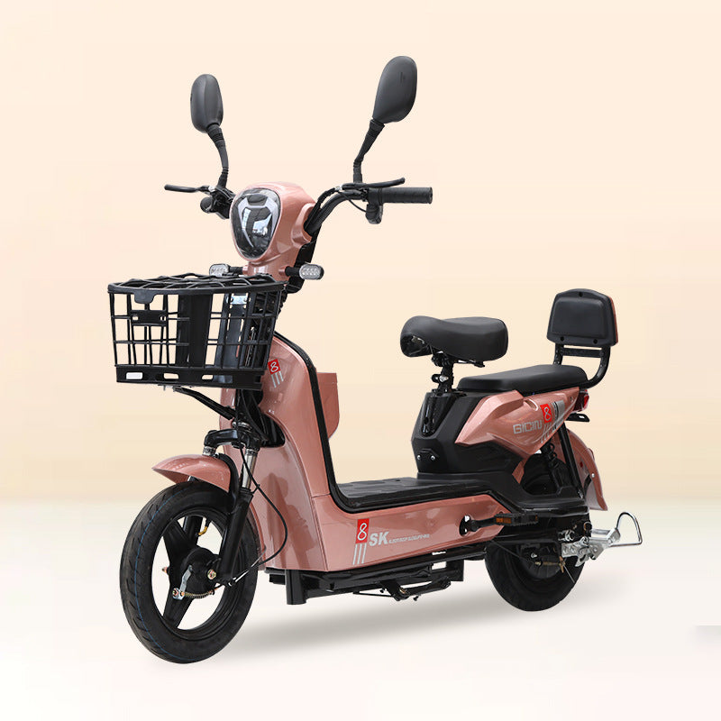 2026 New National Standard Electric Bicycle, Cross-border Foreign Trade Spot Hot-Selling Two-Seater Electric Bicycle, Source Manufacturer