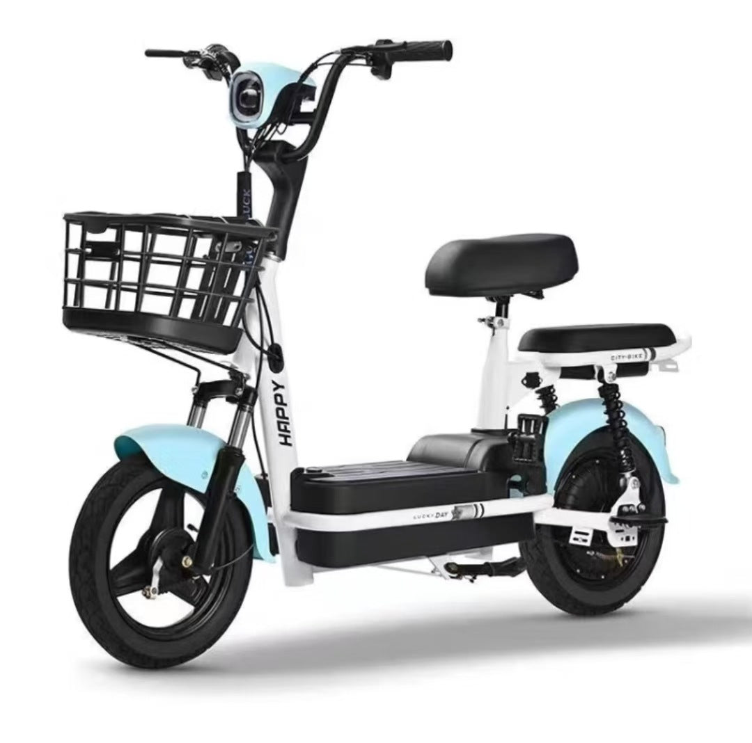 New national standard electric vehicle manufacturers wholesale adult assisted electric bicycles two-wheeled electric vehicles cross-border electric vehicles