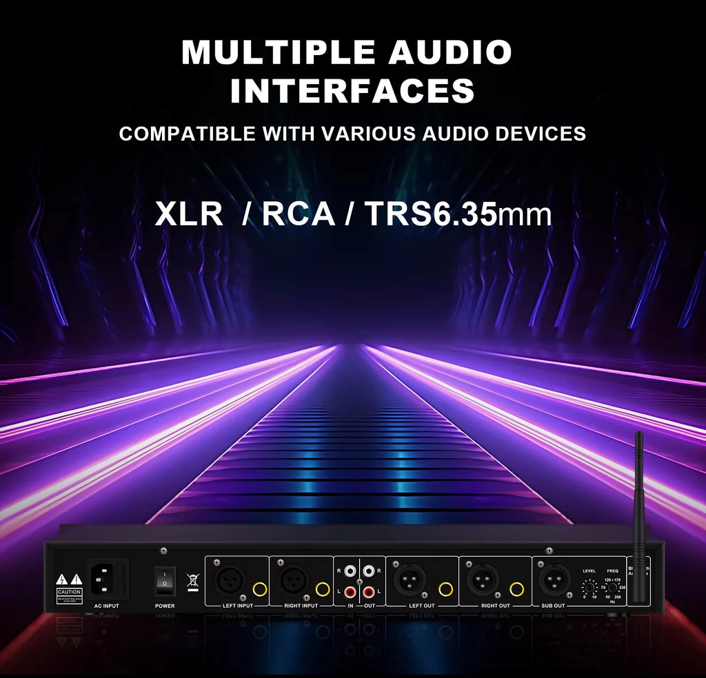 Ecualizador de audio digital de 31 bandas EQ31SUB