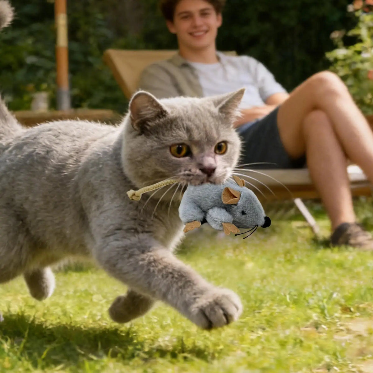 Interactive Plush Mouse Cat Toy with Sound