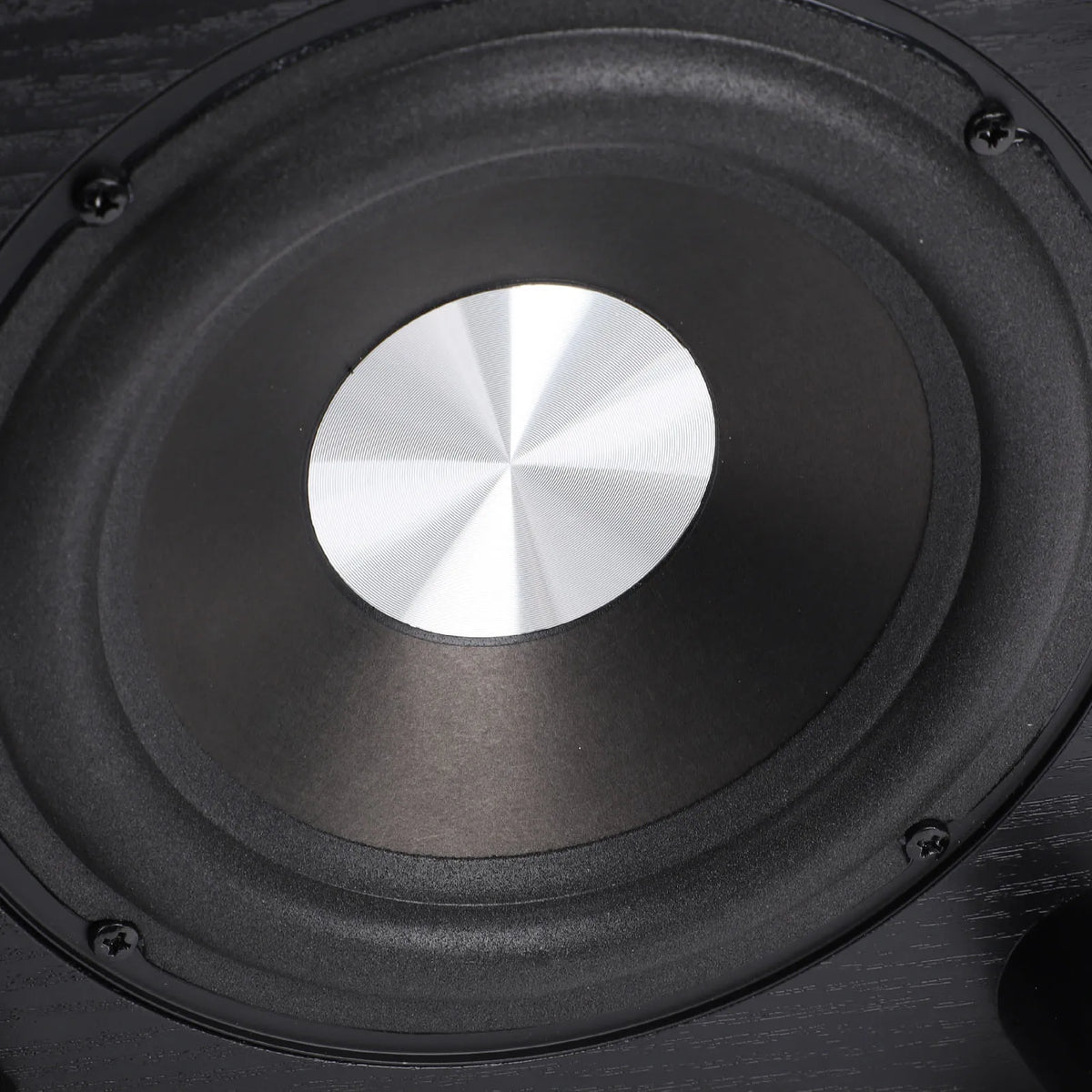 100W Home Subwoofer 6.5 Inch Independent Passive Subwoofer Speaker Plug and Play for Home Theater Party Home Theater Subwoofer