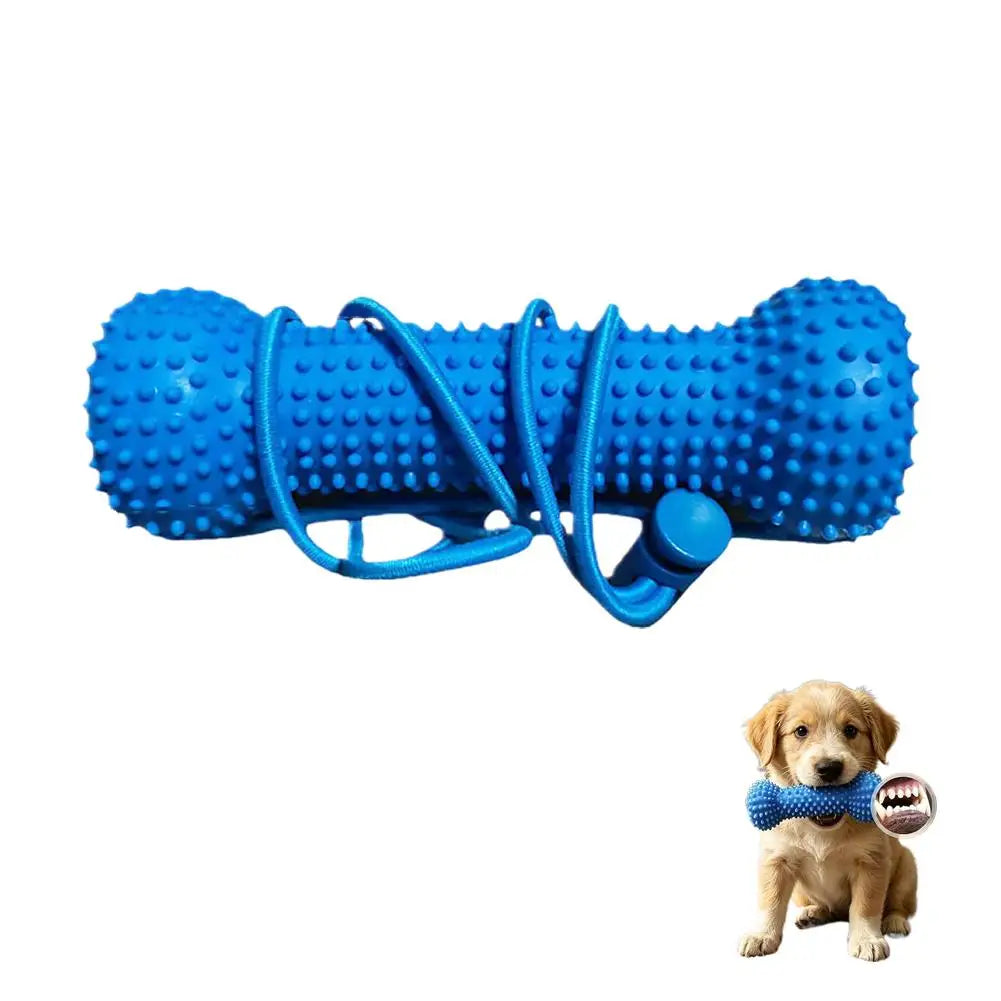 Dual-Action Canine Dental Chew Tool