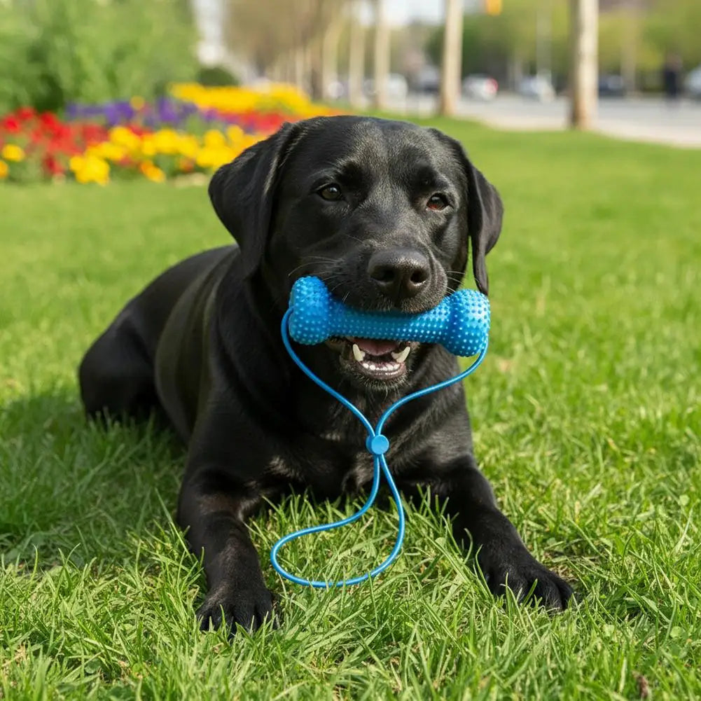 Dual-Action Canine Dental Chew Tool