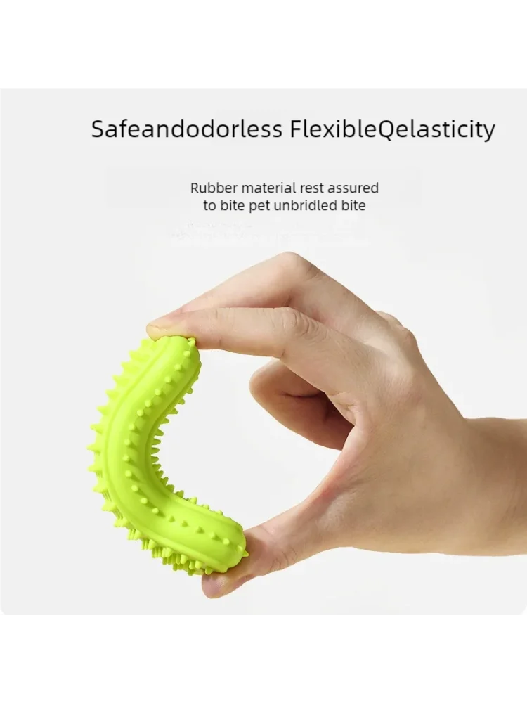 Bone-Shaped Bite-Resistant Dog Chew Toy