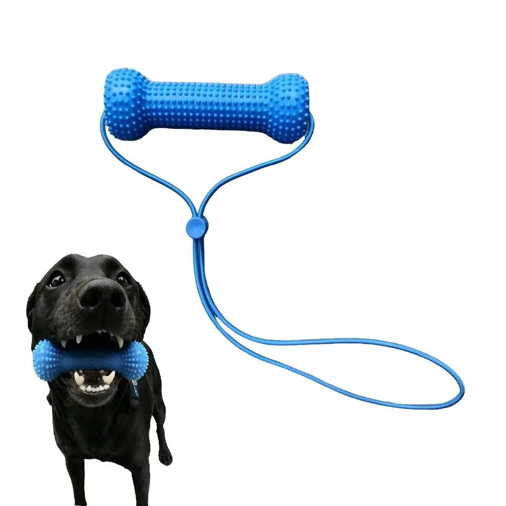 Dual-Action Canine Dental Chew Tool