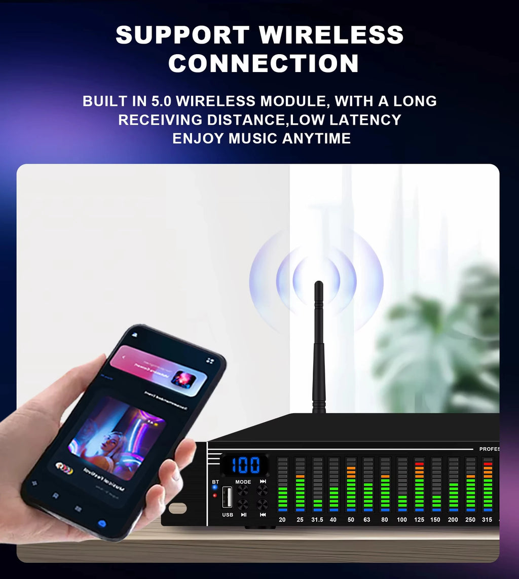 Ecualizador de audio digital de 31 bandas EQ31SUB