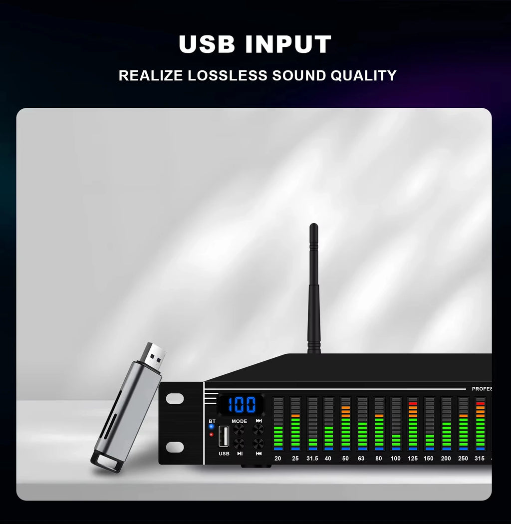 Ecualizador de audio digital de 31 bandas EQ31SUB