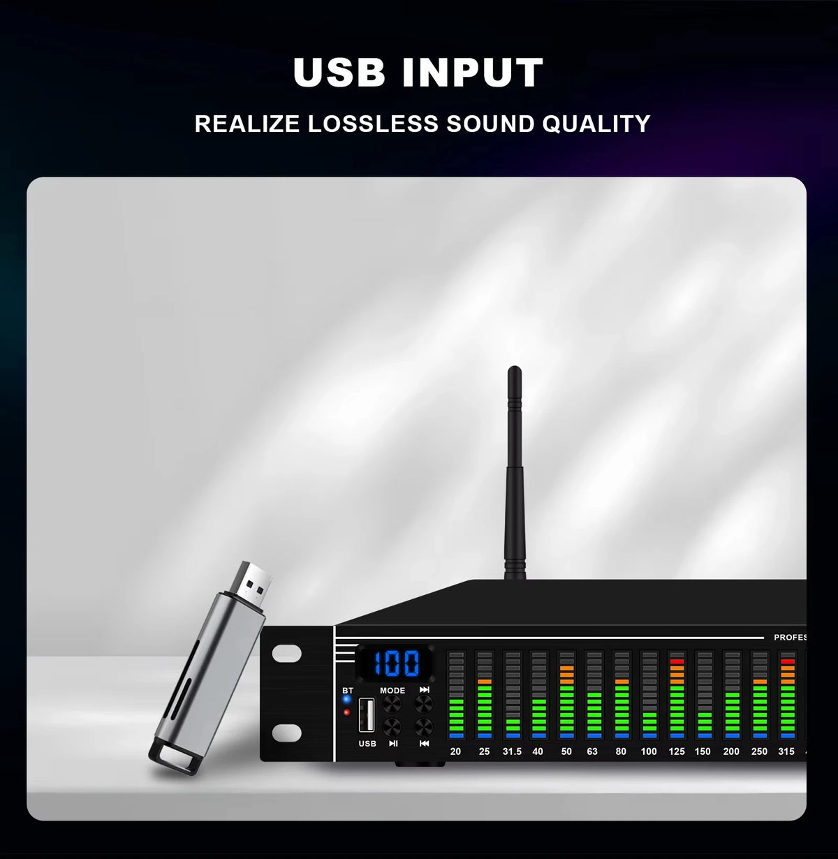 Ecualizador de audio digital de 31 bandas EQ31SUB
