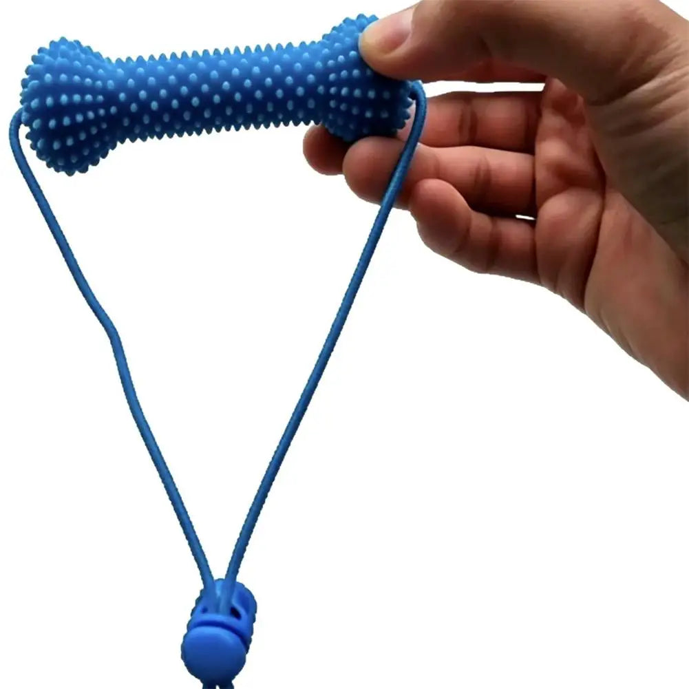 Dual-Action Canine Dental Chew Tool