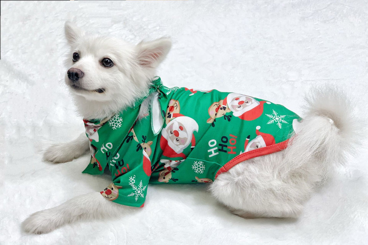 Green matching family Christmas pajamas with Santa print, view 2