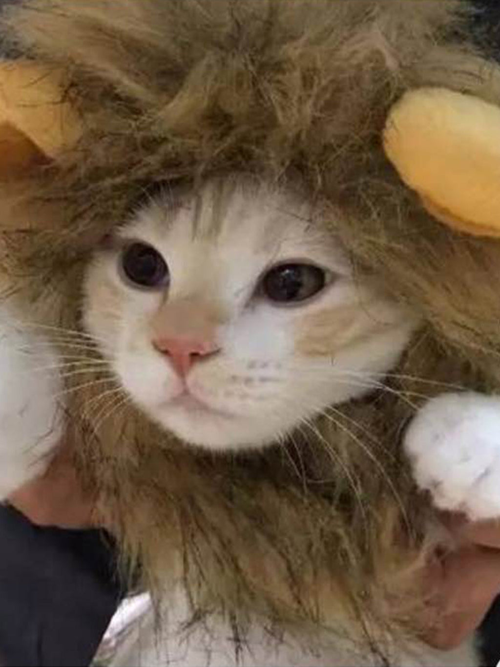 Lion Mane pet headwear in brown with fluffy lion mane design, perfect for pet costumes and themed photos.