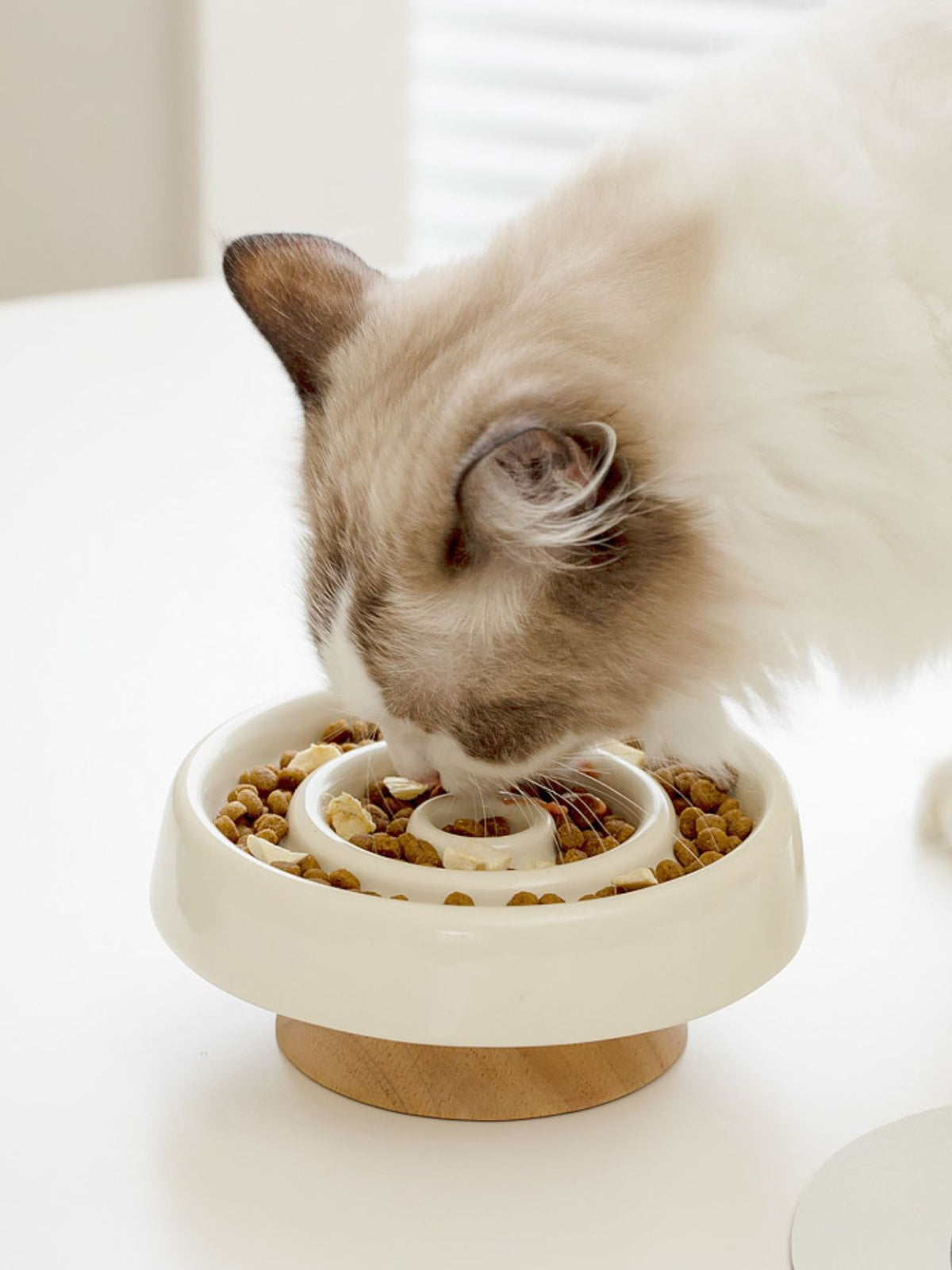 Interactive slow feeder pet bowl by Trendsi with raised ridges and divided sections to slow down eating for dogs or cats.
