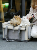 Portable breathable pet carrier bag by Trendsi with mesh sides and sturdy handle for easy transport of small pets.