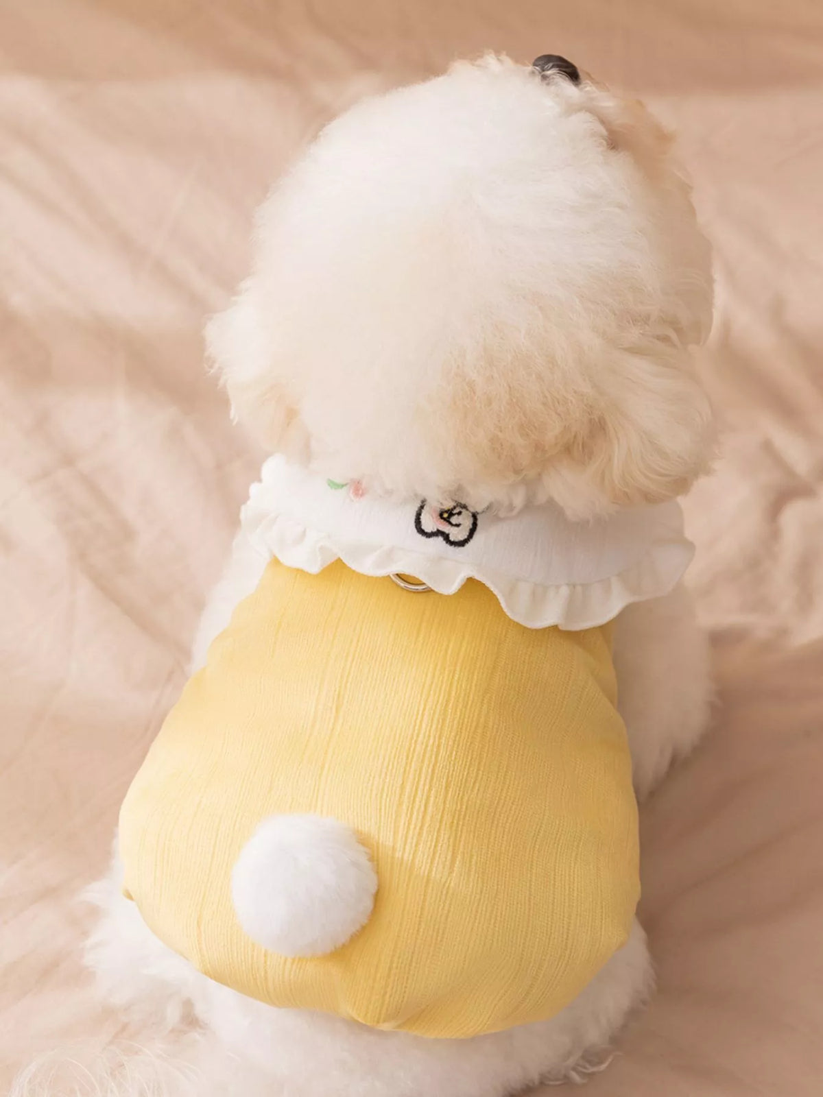 Button-down pet jumpsuit with ruffle collar, featuring stylish design and comfortable fit, perfect for pets from Trendsi.