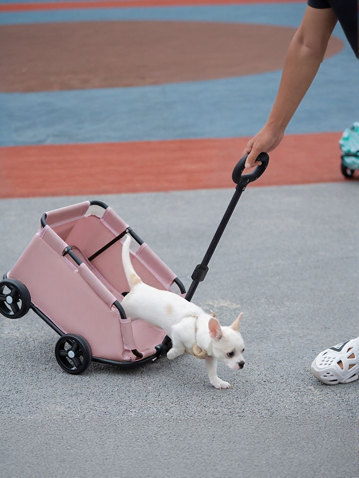 Portable folding pet stroller wagon with mesh sides and handle, ideal for easy transport of small pets.