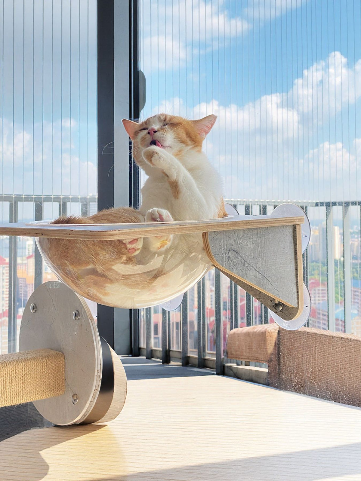 Window mounted cat condo from Trendsi with cozy perches and scratching posts, designed for feline comfort and entertainment.