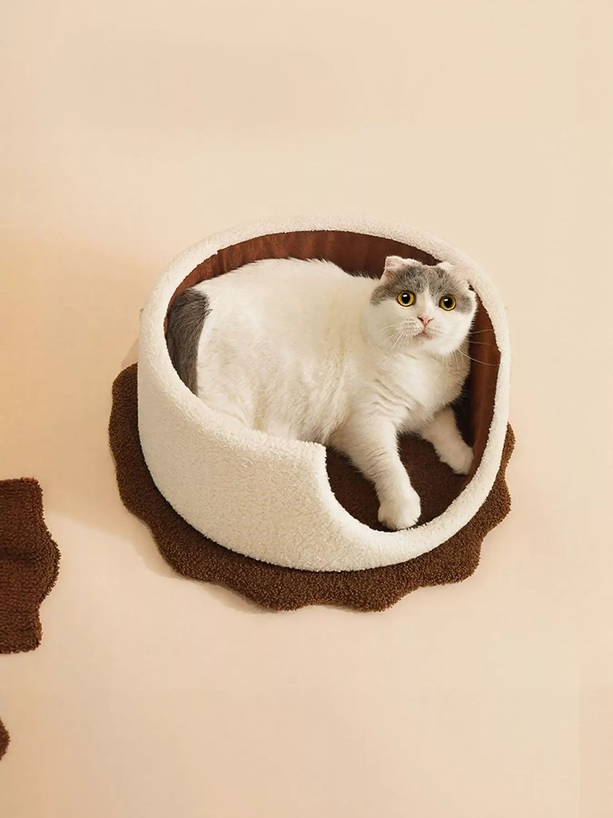 Trendsi biscuit-style pet nest with soft cushioning, ideal for small dogs or cats to rest comfortably.