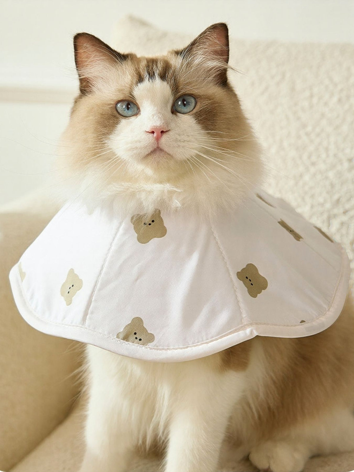 Cute bear pattern protective pet collar from Trendsi, featuring soft fabric and adjustable strap for small to medium pets.