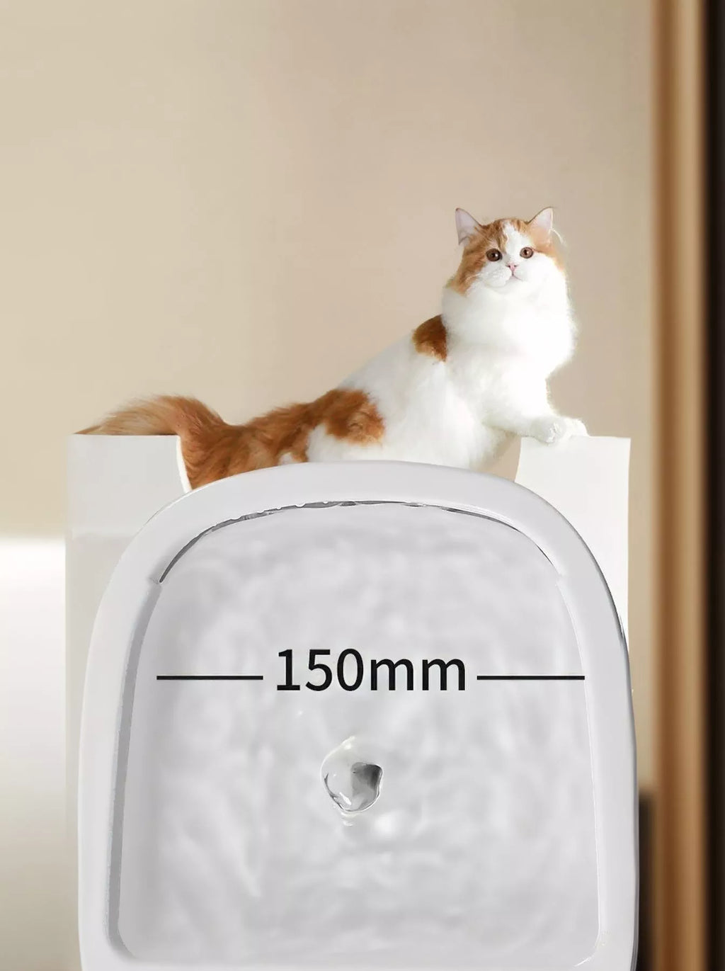 Trendsi 2-in-1 automatic pet water dispenser and food bowl with clear plastic water reservoir and stainless steel bowl for pets.