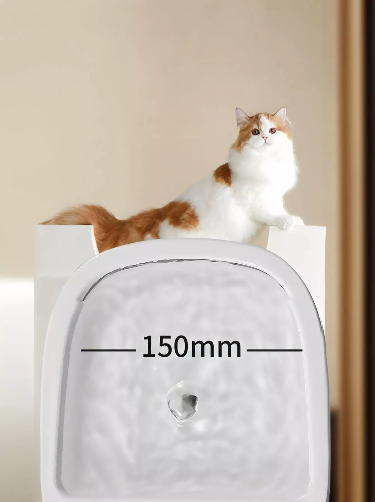 Trendsi 2-in-1 automatic pet water dispenser and food bowl with clear plastic water reservoir and stainless steel bowl for pets.