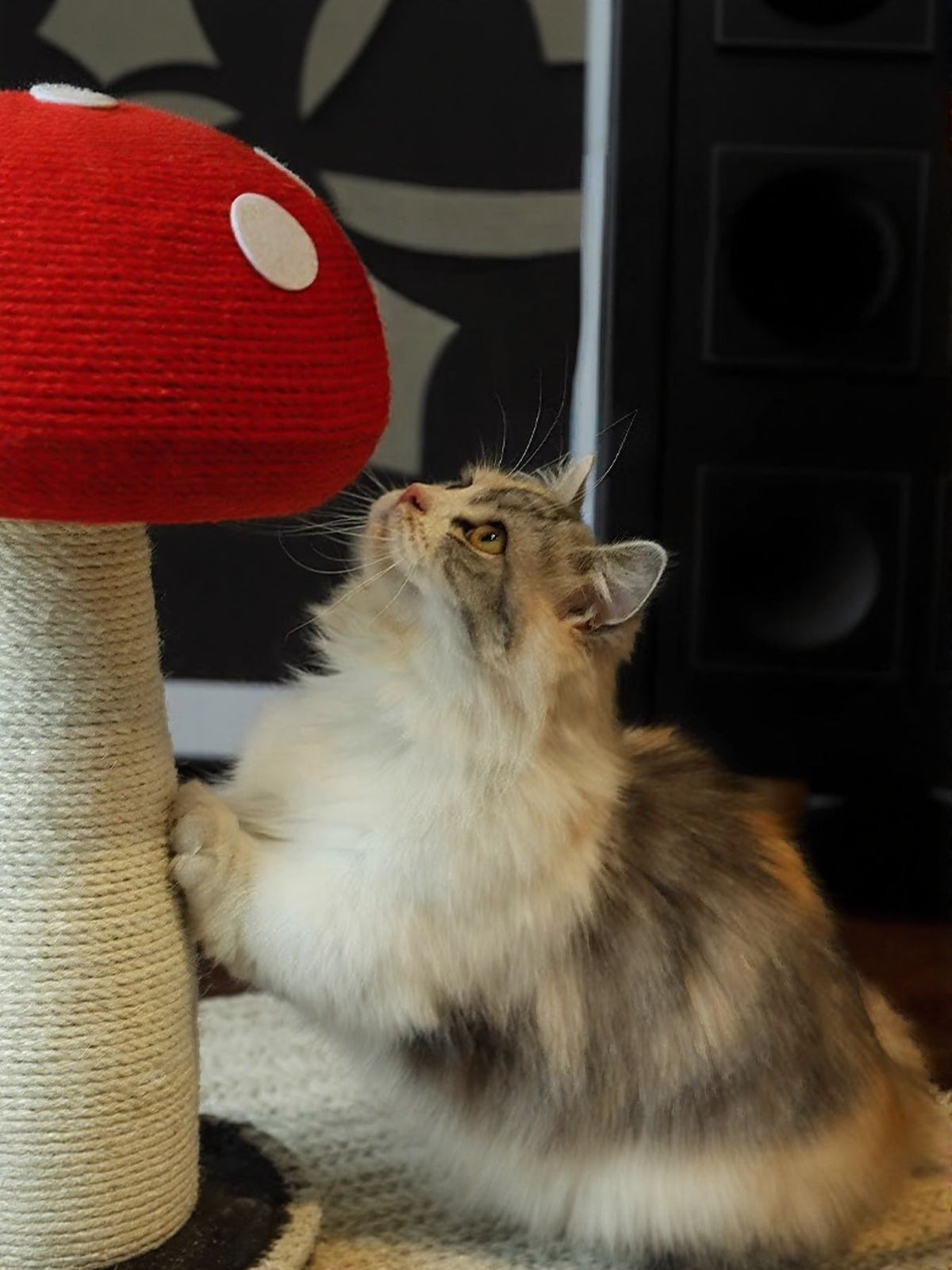 Mushroom-shaped cat scratching post by Trendsi with a cozy mushroom cap design and sisal scratching surface for cats.
