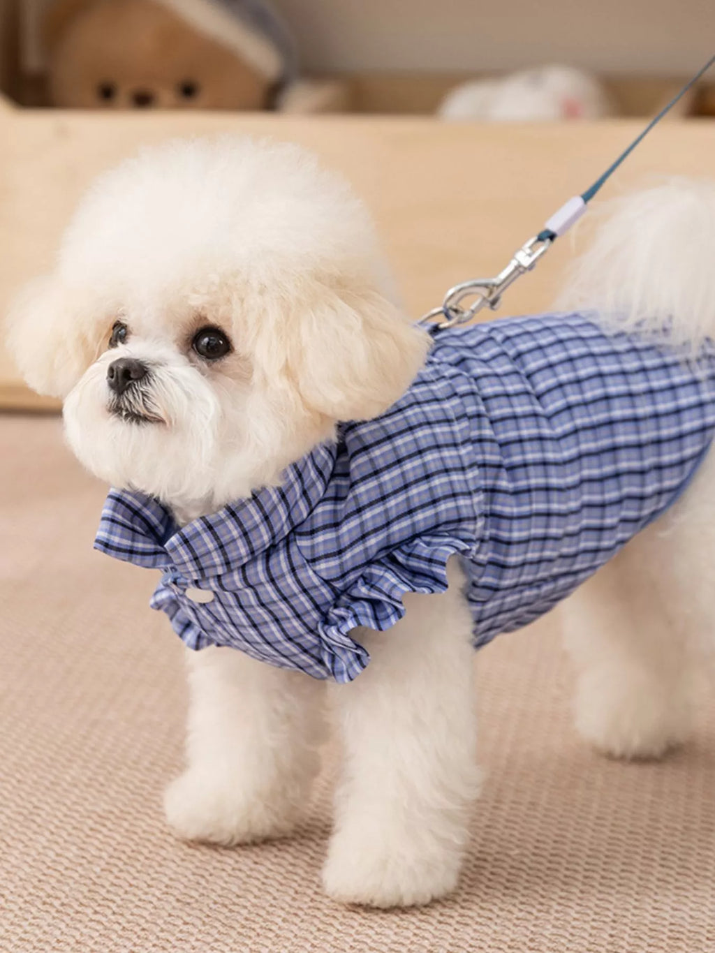 Plaid ruffle trim pet jacket by Trendsi, featuring a cozy design with ruffled accents for small dogs or cats.