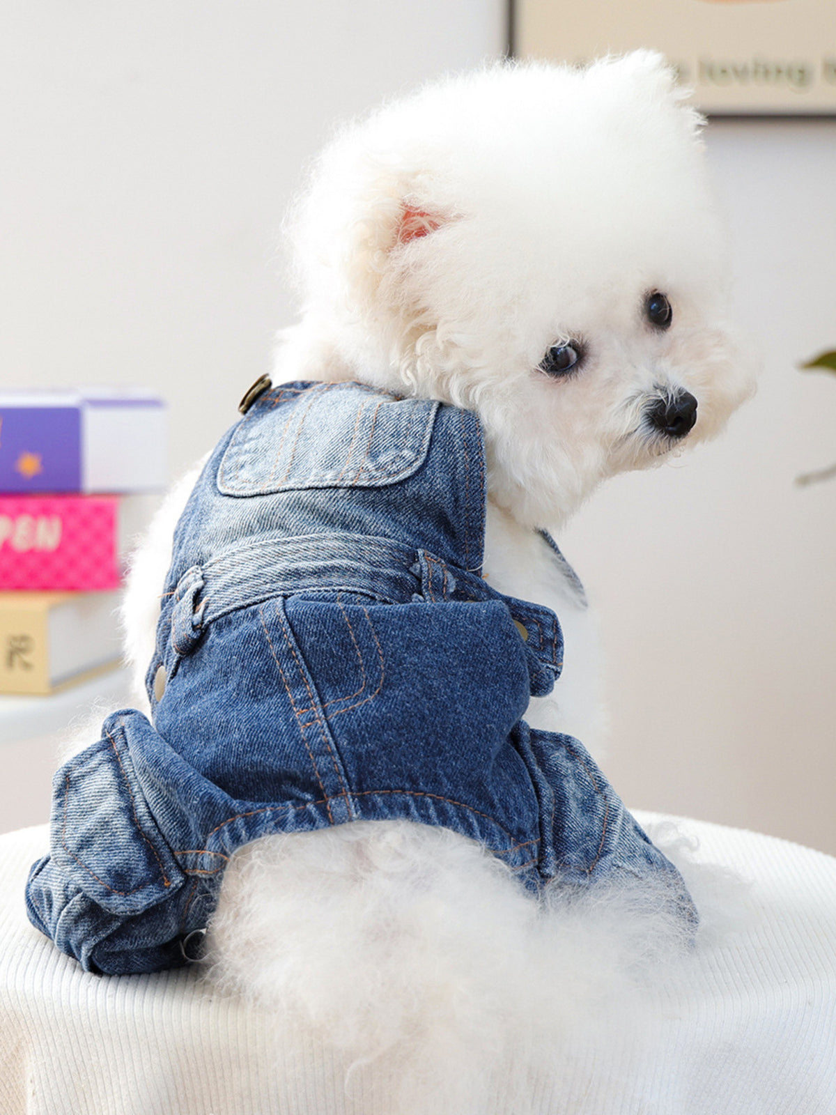 Cute denim pet overalls by Trendsi featuring adjustable straps and a stylish blue denim fabric, perfect for small dogs.