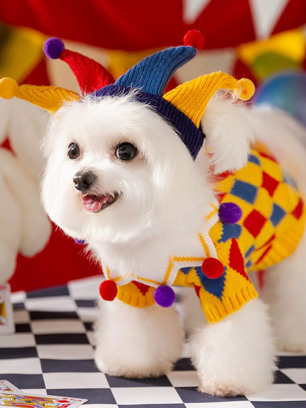 Ribbed knit pet sweater in soft fabric, stylish design by Trendsi, perfect for keeping your small dog warm and cozy.