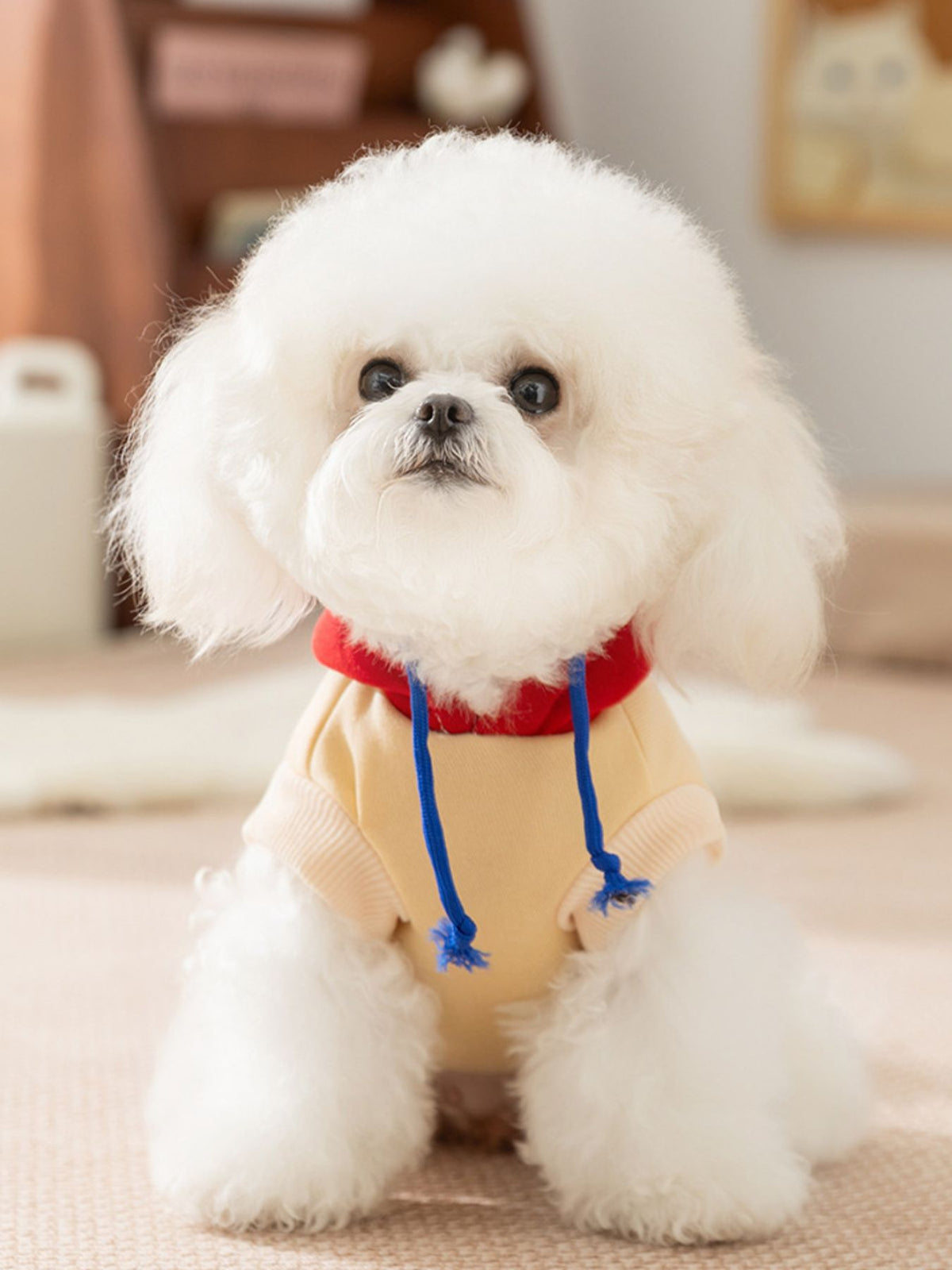 Cute cartoon pet top from Trendsi featuring playful animal illustrations and soft fabric for casual wear.