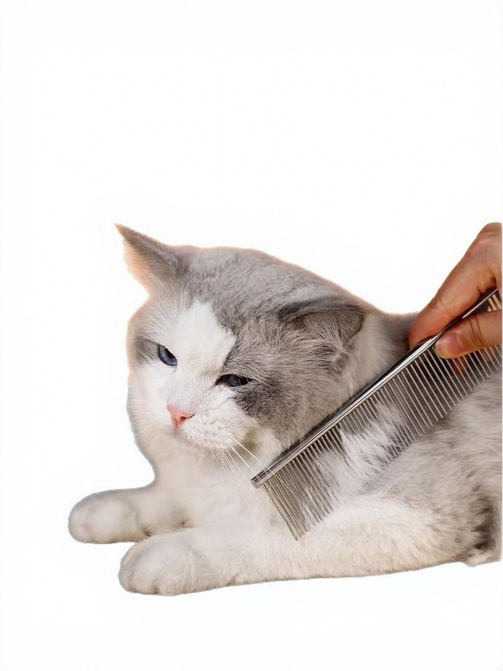 Stainless steel pet grooming comb for hair removal with fine teeth, designed for gentle grooming and detangling pets' fur.