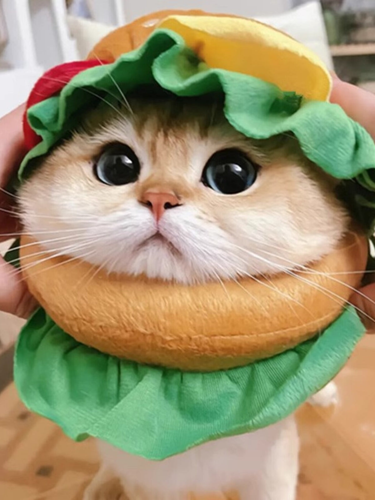 Hamburger style pet headwear featuring a fun, colorful design with adjustable straps, perfect for pets and trendy fashion.
