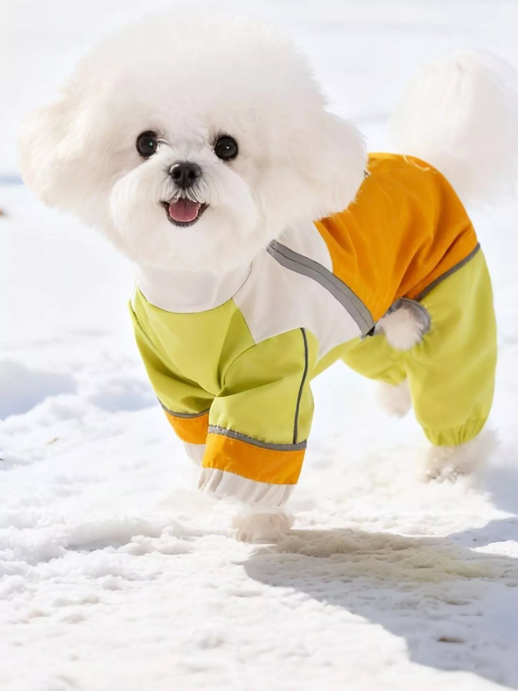 Color block warm pet jumpsuit by Trendsi, featuring a cozy multicolor design and full coverage for small dogs.