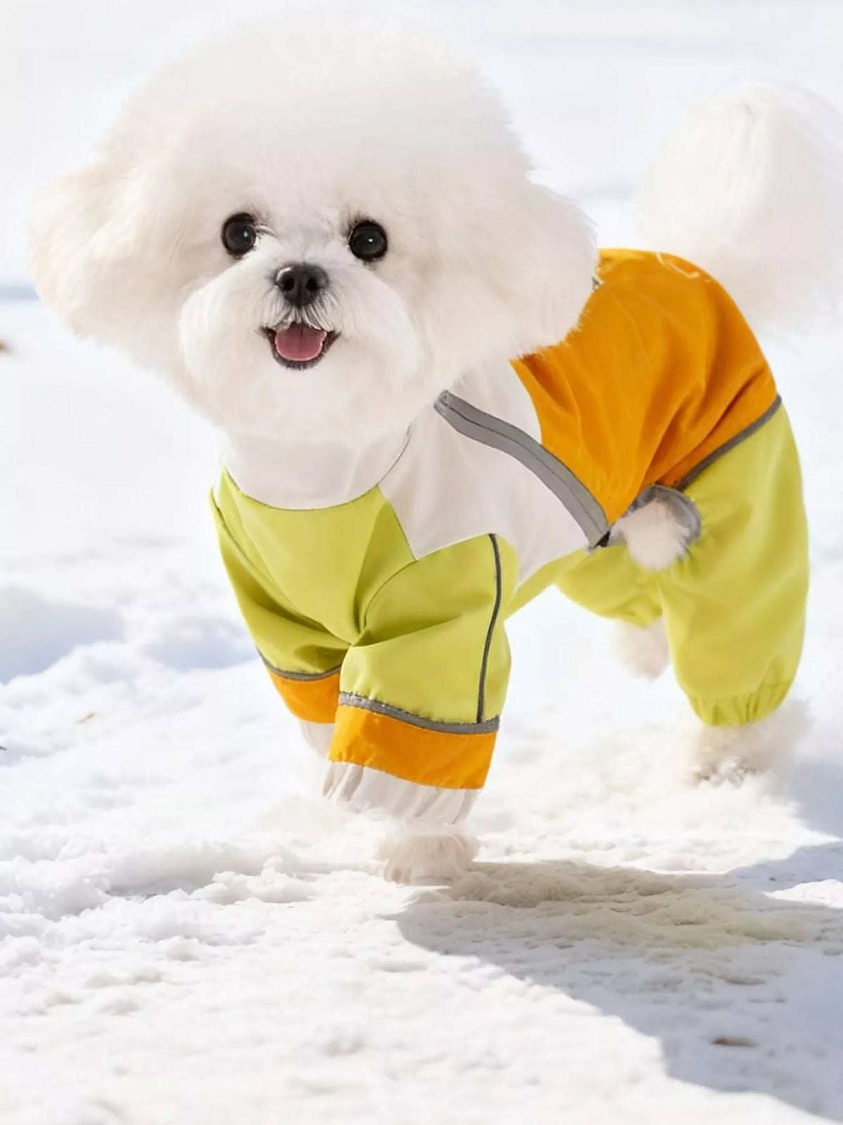 Color block warm pet jumpsuit by Trendsi, featuring a cozy multicolor design and full coverage for small dogs.