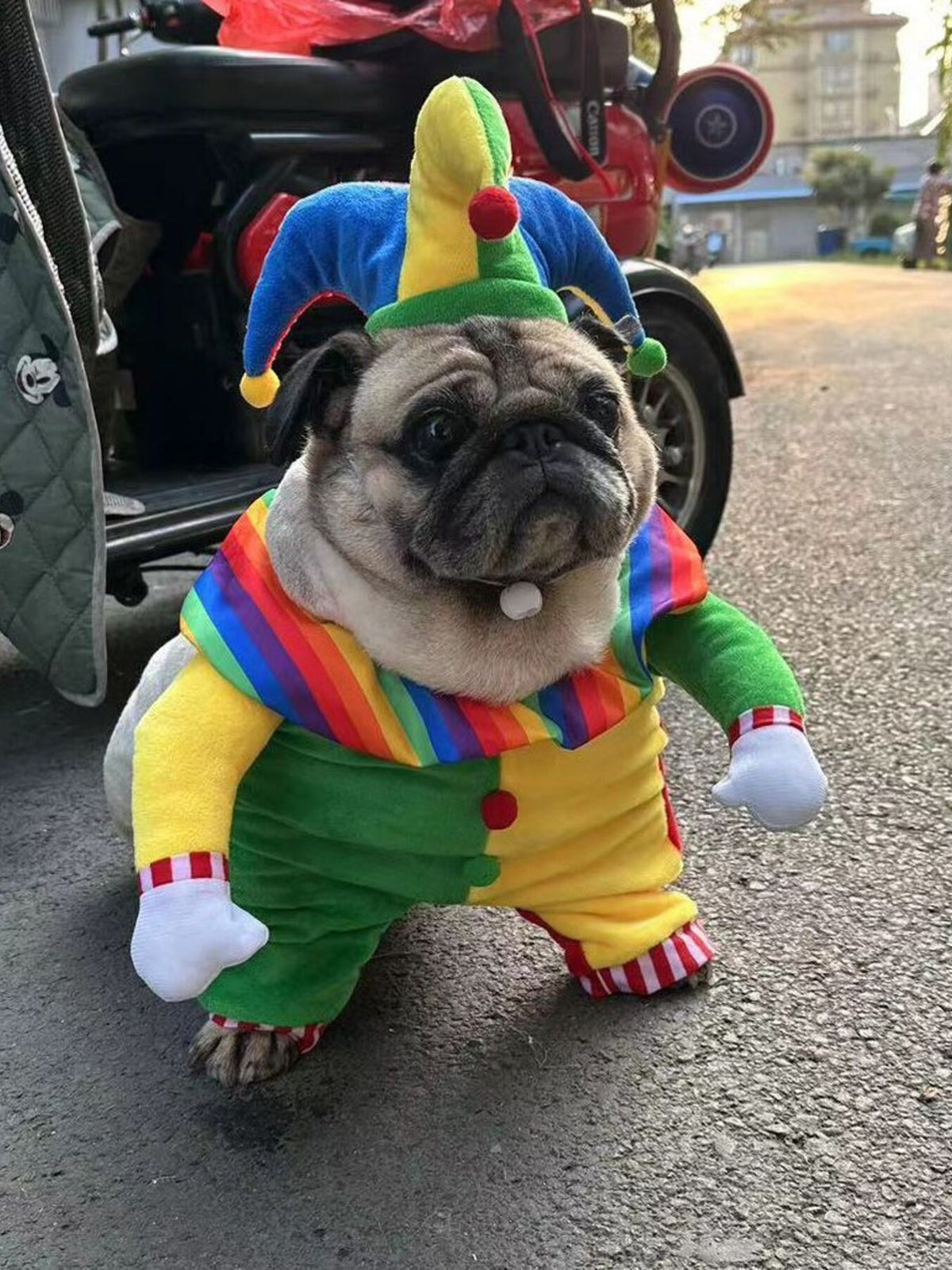Colorful clown pet jumpsuit with matching hat, featuring vibrant patterns and comfortable fabric, designed for pets by Trendsi.