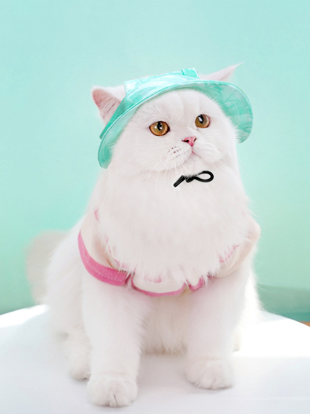 Adjustable pet visor hat by Trendsi featuring a wide brim and breathable material for sun protection and comfort.