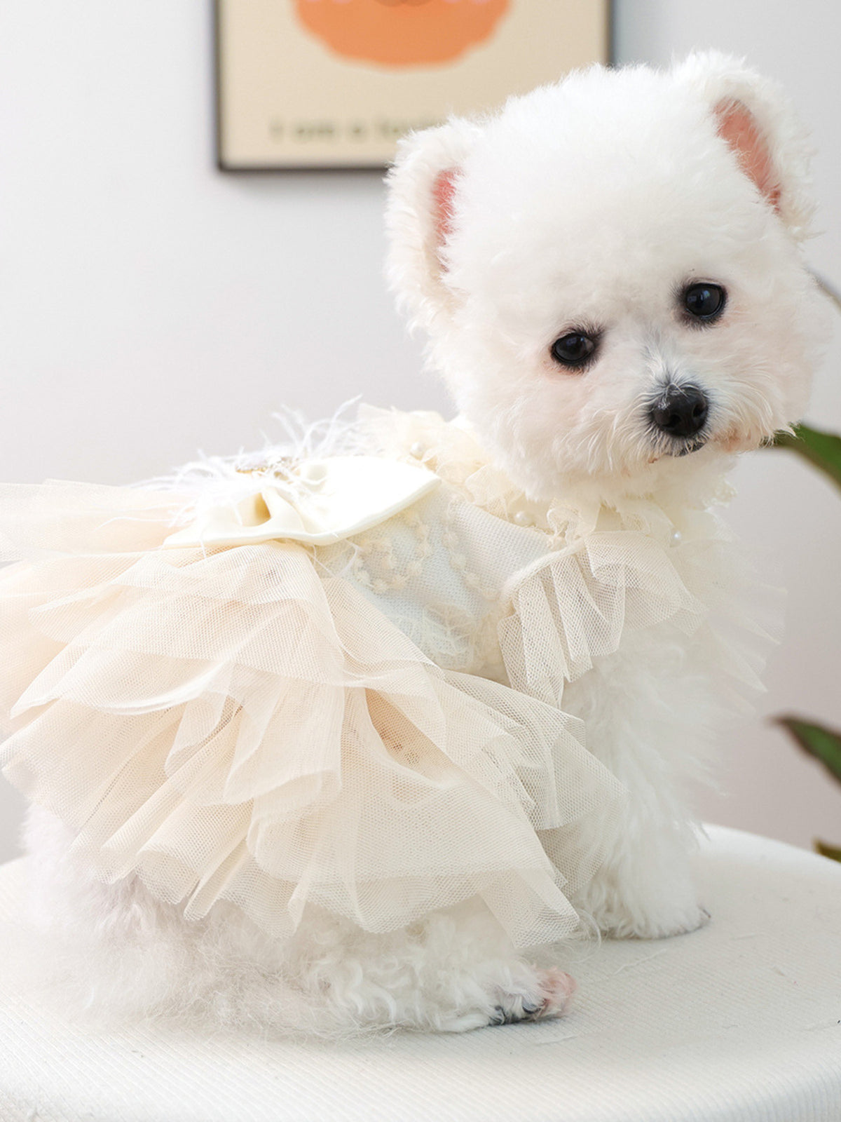 Cute pet dress with tulle ruffles and bow detail, perfect for small dogs or cats, by Trendsi.