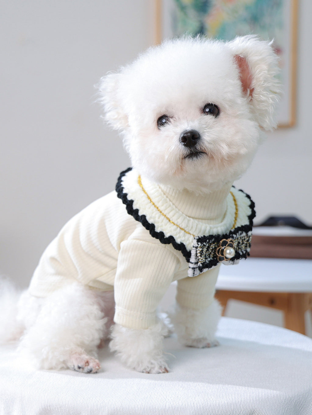 Contrast pet scarf from Trendsi featuring a stylish design, perfect for dogs or cats, displayed on a neutral background.
