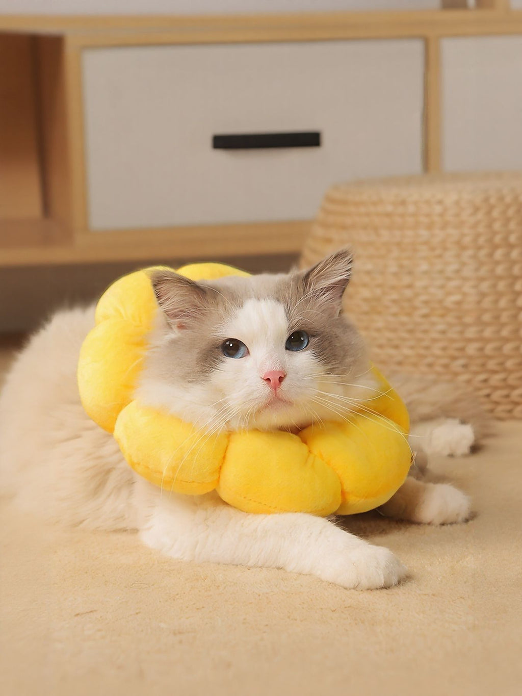 Sunflower protective pet collar from Trendsi, featuring a bright sunflower design and adjustable strap for pets.
